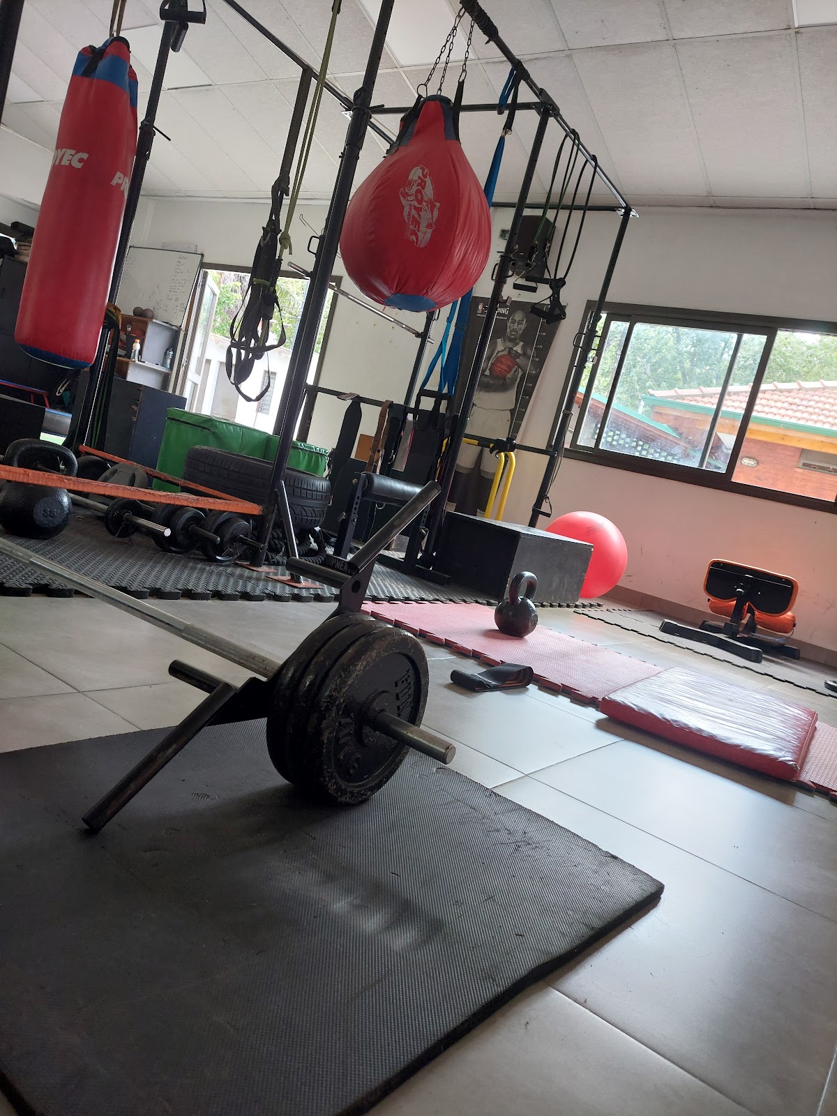 Pesas rusas kettlebells en Funcional Concept